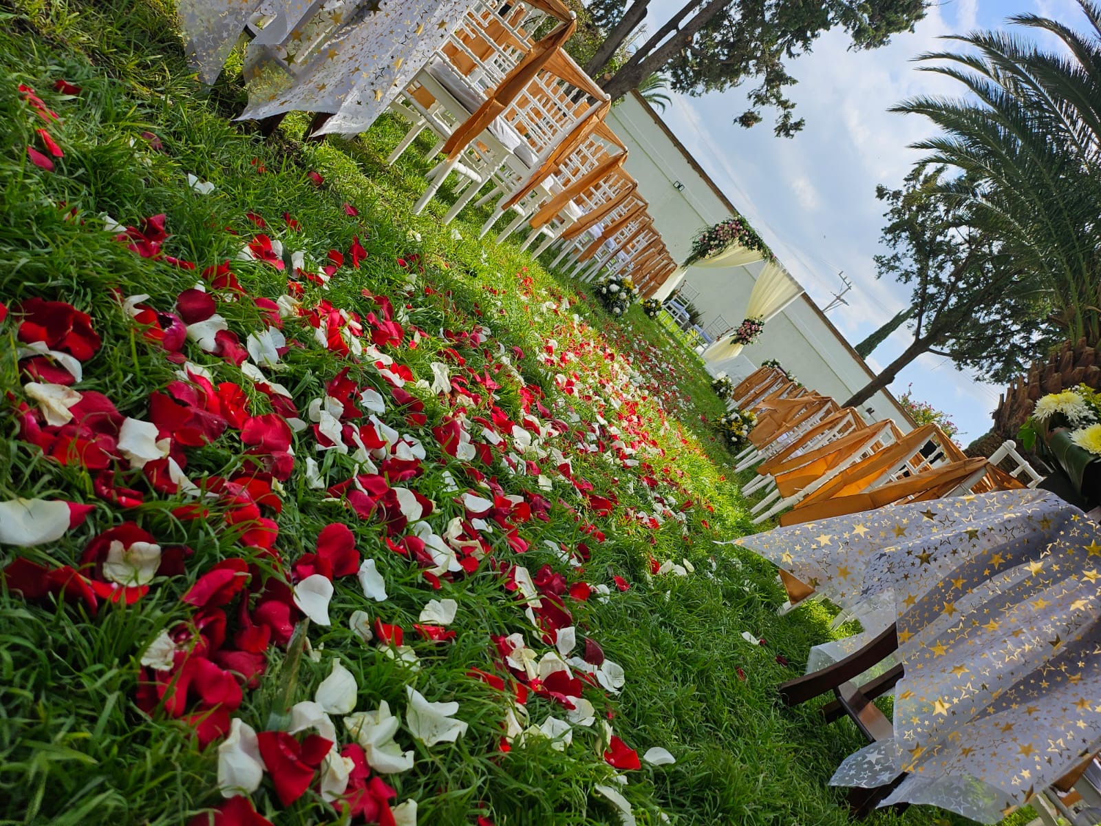 Ceremonias dentro del jardín Bamboo